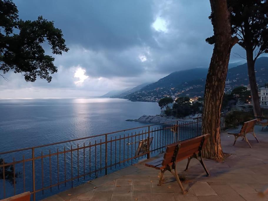 A Dream codice CITRA 010047-LT-0161 Apartment Recco Exterior foto