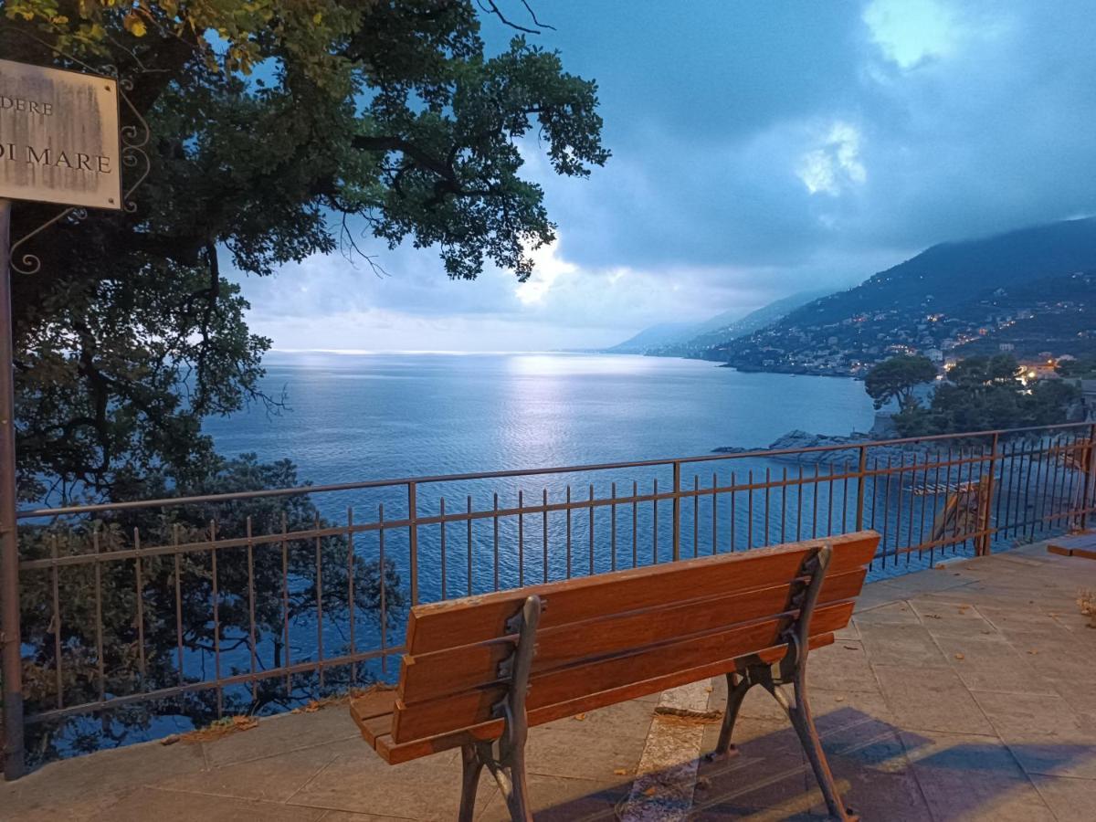 A Dream codice CITRA 010047-LT-0161 Apartment Recco Exterior foto