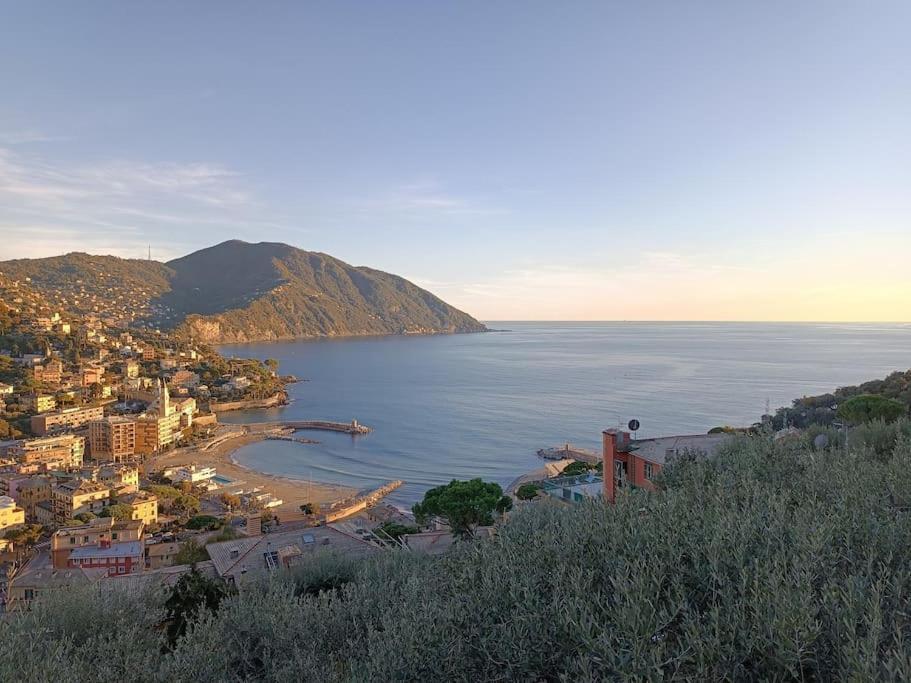 A Dream codice CITRA 010047-LT-0161 Apartment Recco Exterior foto