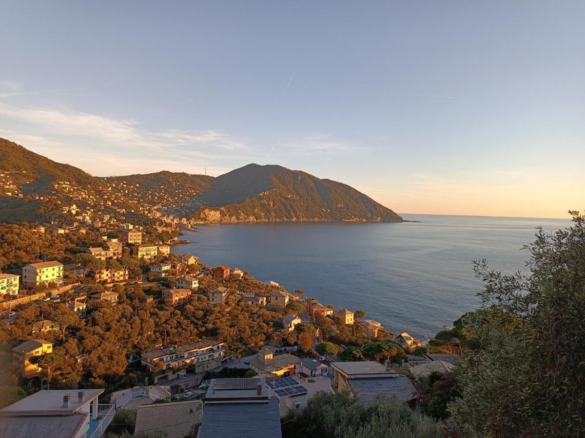 A Dream codice CITRA 010047-LT-0161 Apartment Recco Exterior foto